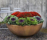 Photo of Campania Contour - Marquis Gardens